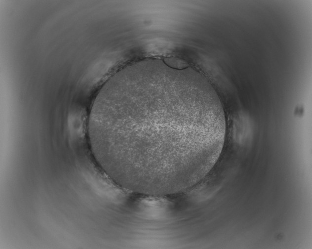 X0000112750712200909101540