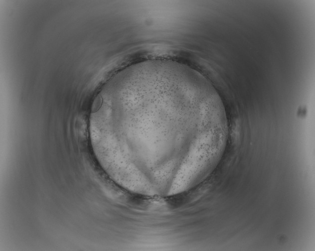 X0000112750715200909101540