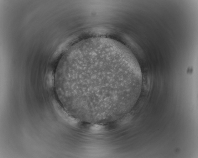 X0000112750718200909101540