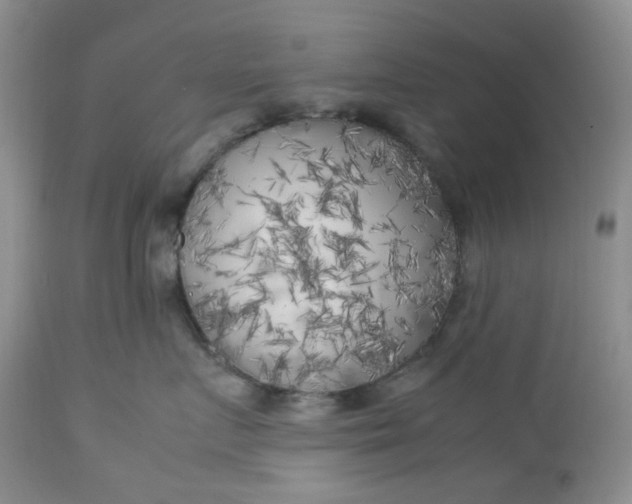 X0000112750719200909101540