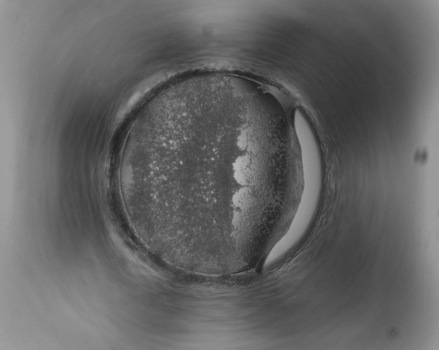 X0000112750722200909101539