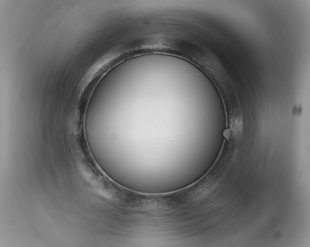 X0000112750724200909101539