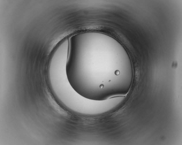 X0000112750725200909101539