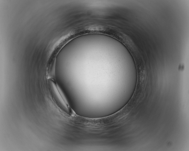 X0000112750727200909101539