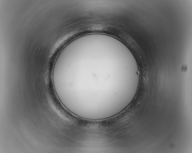 X0000112750728200909101539