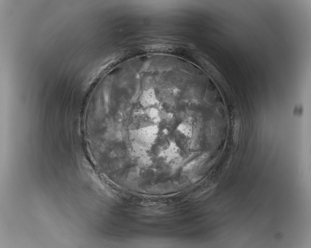 X0000112750729200909101539