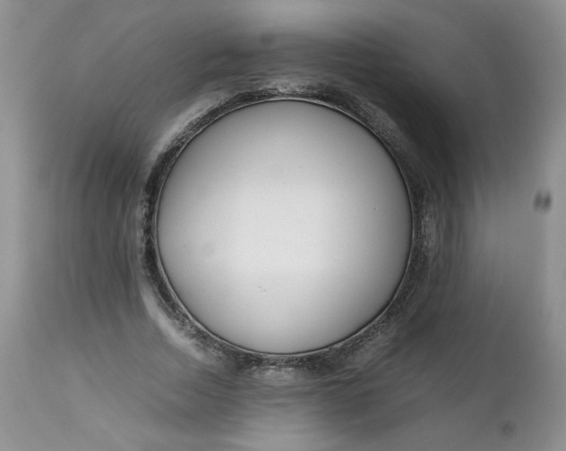 X0000112750730200909101539