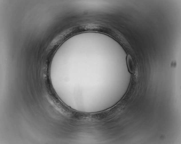 X0000112750732200909101539