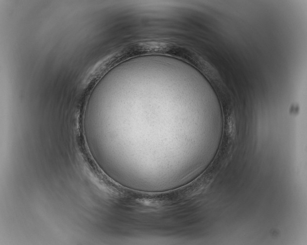 X0000112750733200909101539