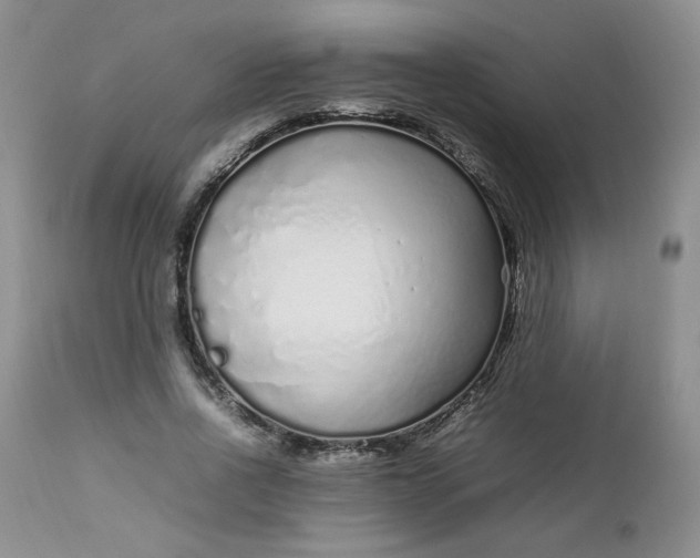 X0000112750734200909101539