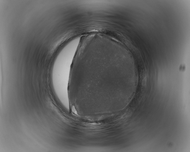 X0000112750735200909101539