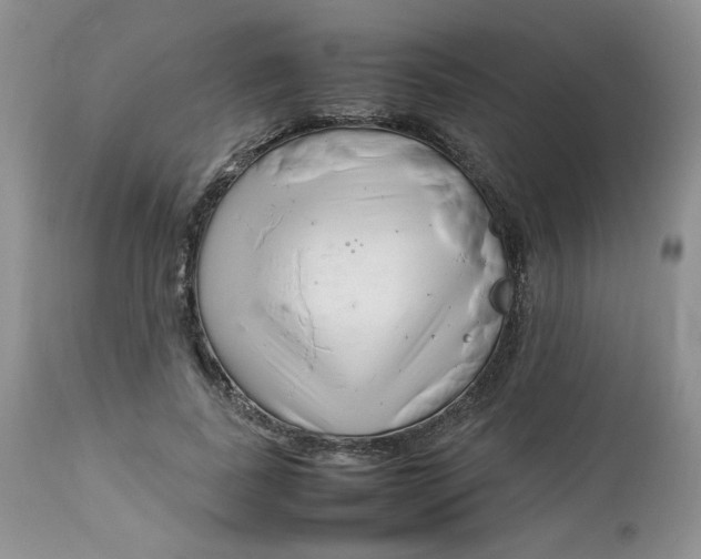 X0000112750739200909101539