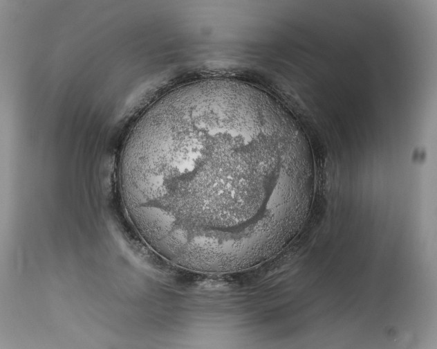 X0000112750742200909101539