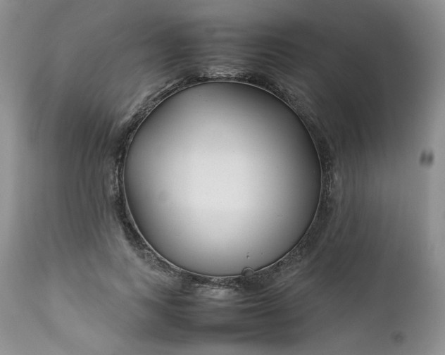 X0000112750743200909101539