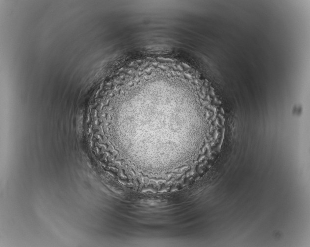 X0000112750745200909101539