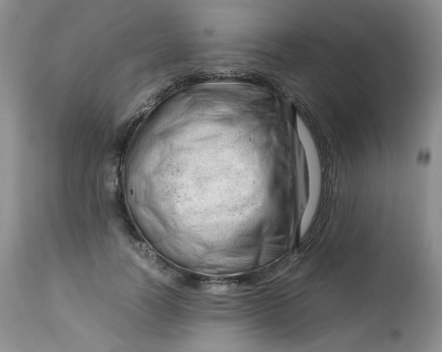 X0000112750746200909101539