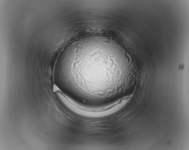 X0000112750747200909101539