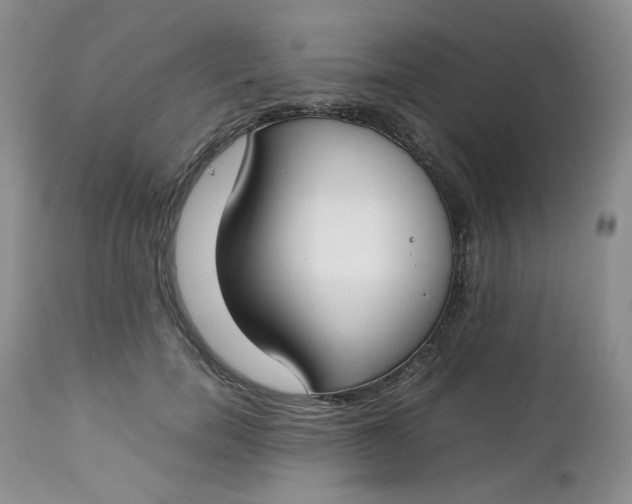 X0000112750750200909101539