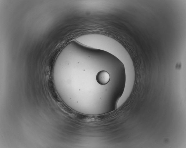 X0000112750752200909101539