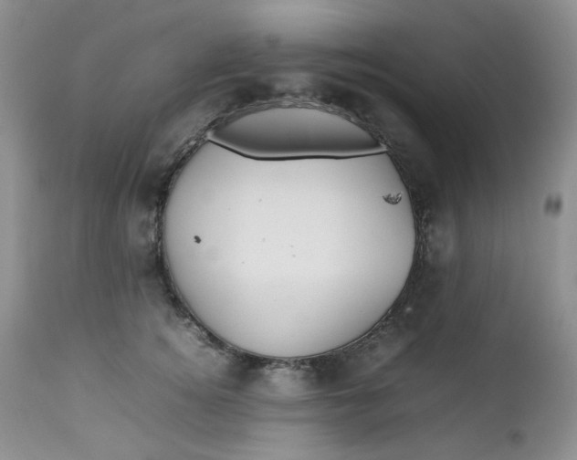 X0000112750756200909101539