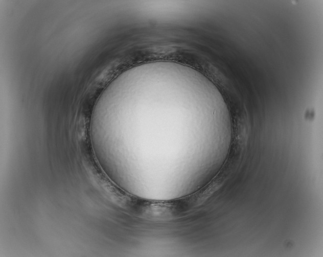 X0000112750758200909101539