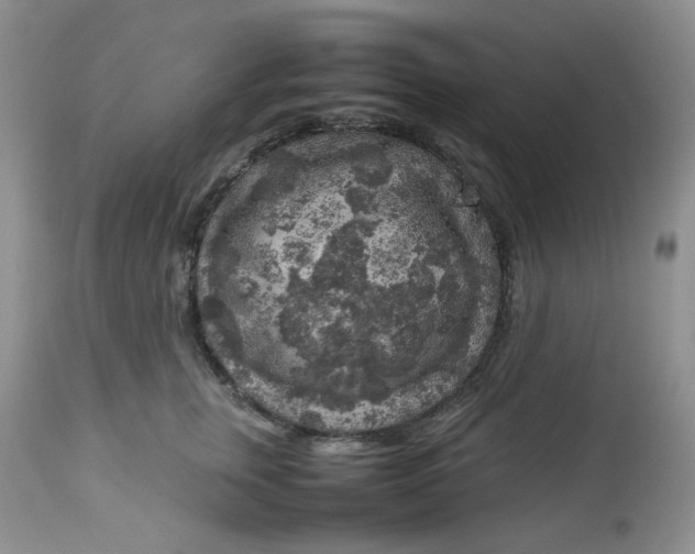 X0000112750759200909101539