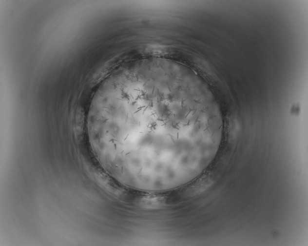 X0000112750760200909101539