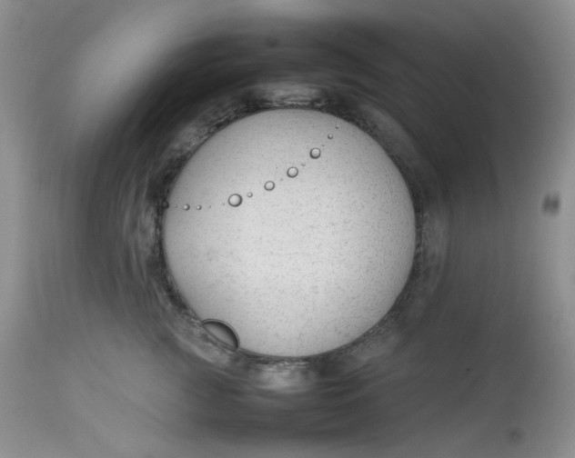 X0000112750761200909101539