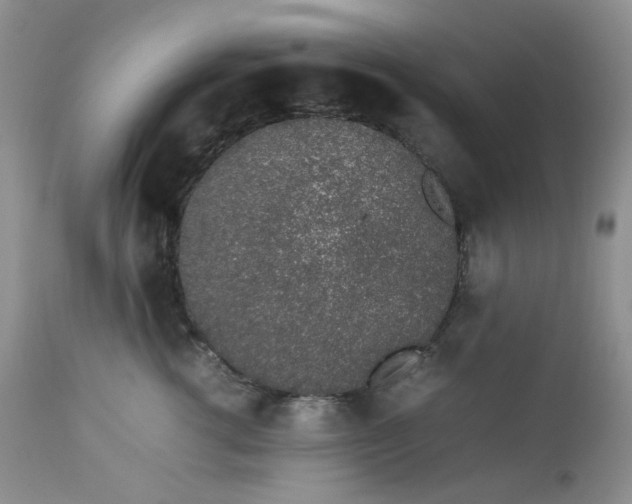 X0000112750762200909101539