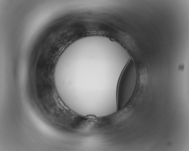 X0000112750764200909101540