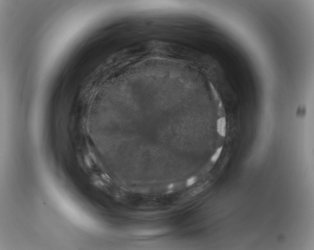 X0000112750765200909101540