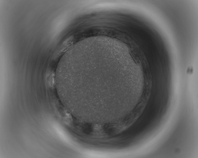 X0000112750766200909101540