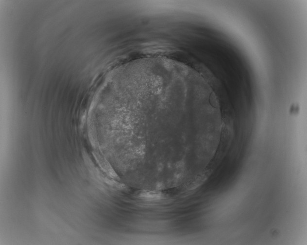 X0000112750767200909101540