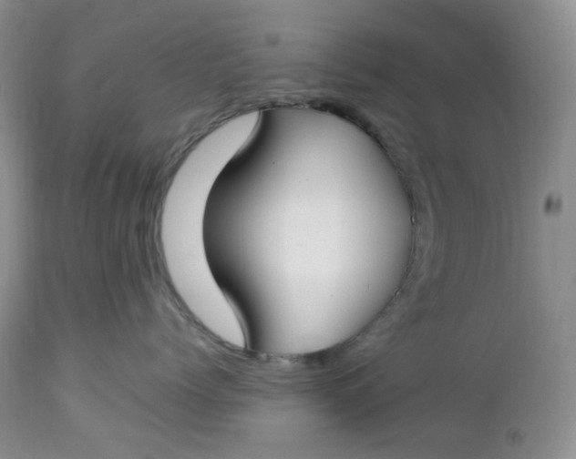 X0000112750768200909101540