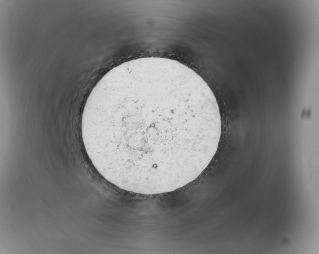 X0000112750769200909101539