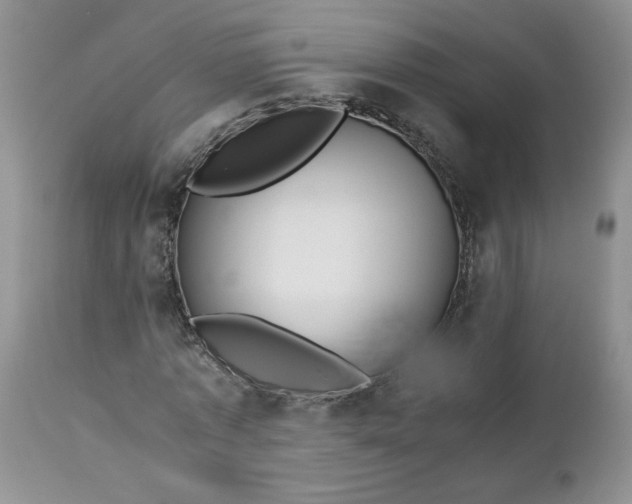 X0000112750773200909101539