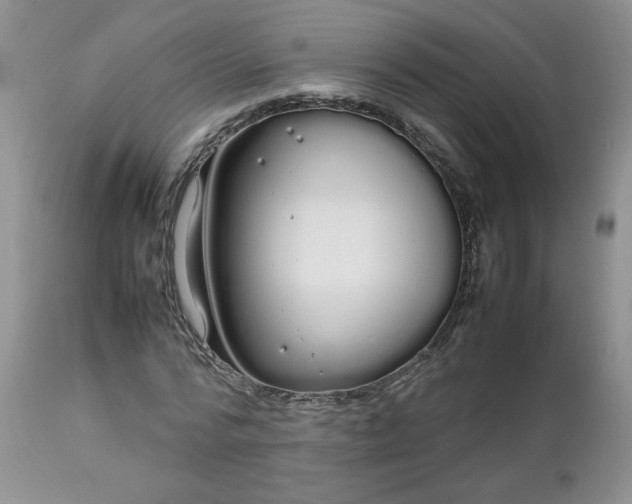 X0000112750776200909101539