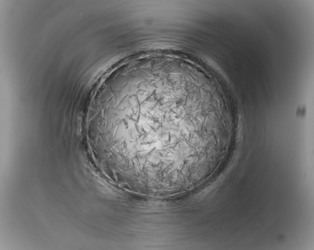 X0000112750777200909101539