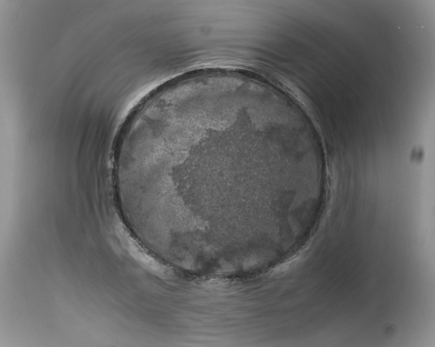 X0000112750779200909101539