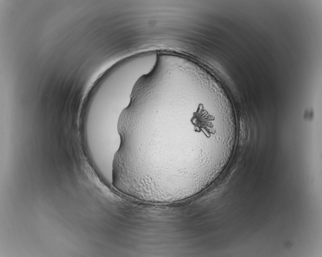 X0000112750780200909101539