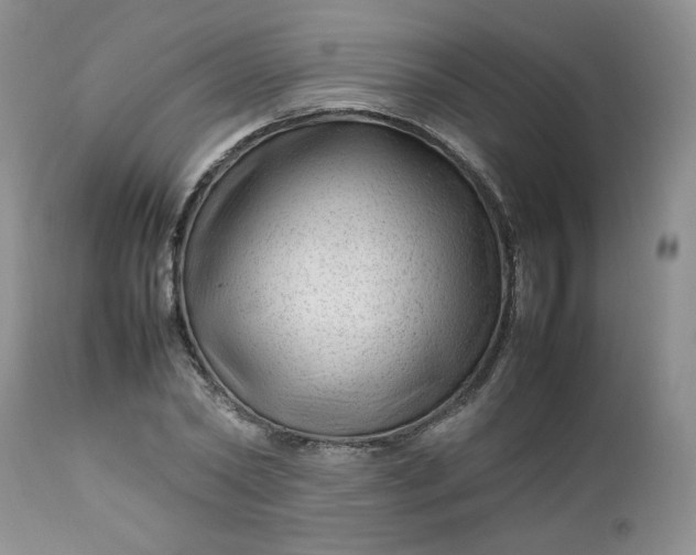 X0000112750782200909101539