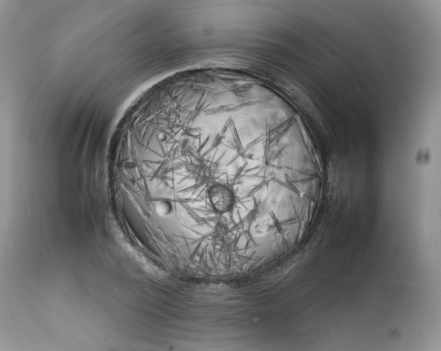 X0000112750784200909101539