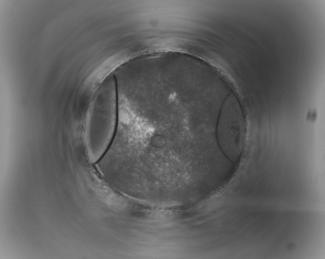 X0000112750785200909101539