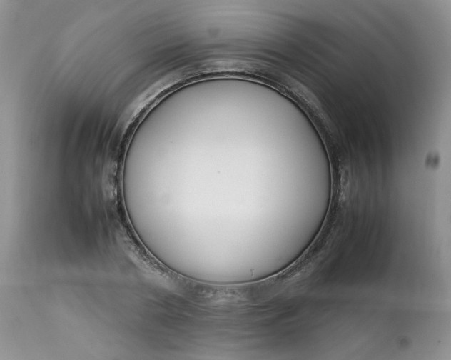 X0000112750786200909101539