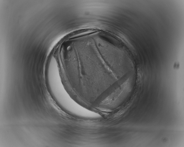 X0000112750788200909101539