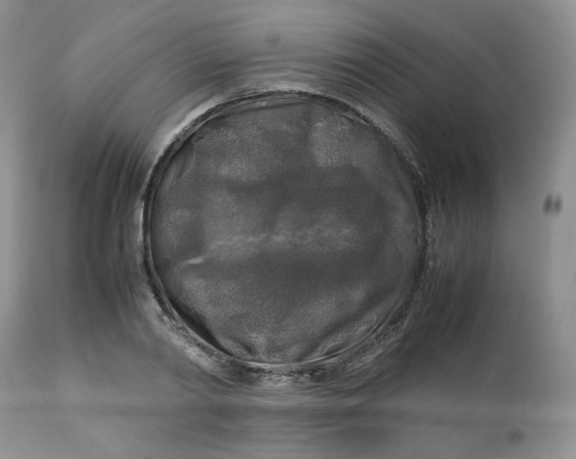 X0000112750790200909101539