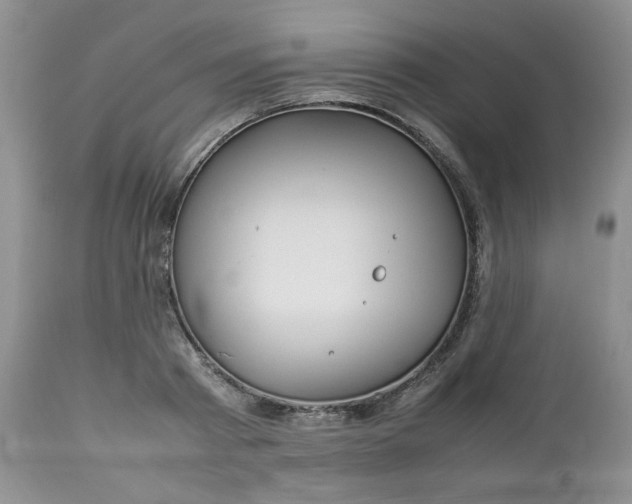 X0000112750793200909101539