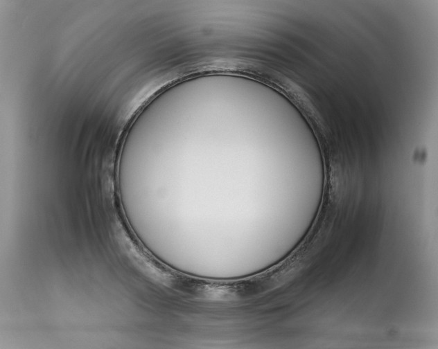 X0000112750794200909101539