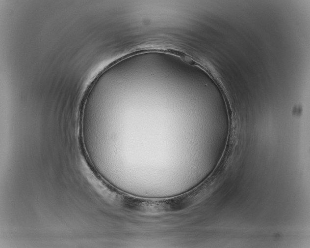 X0000112750795200909101539