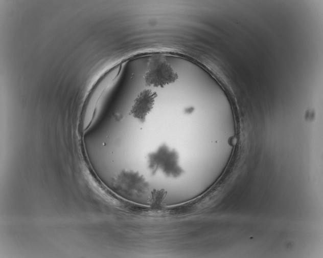 X0000112750797200909101539